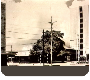 Photo---1974-800x714